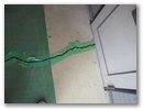 dscn5987.jpg