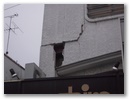 dscn6087.jpg