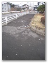 dscn6187.jpg