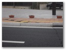dscn6197.jpg