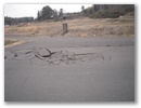 dscn6216.jpg