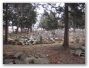 dscn6248.jpg
