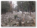dscn6249.jpg